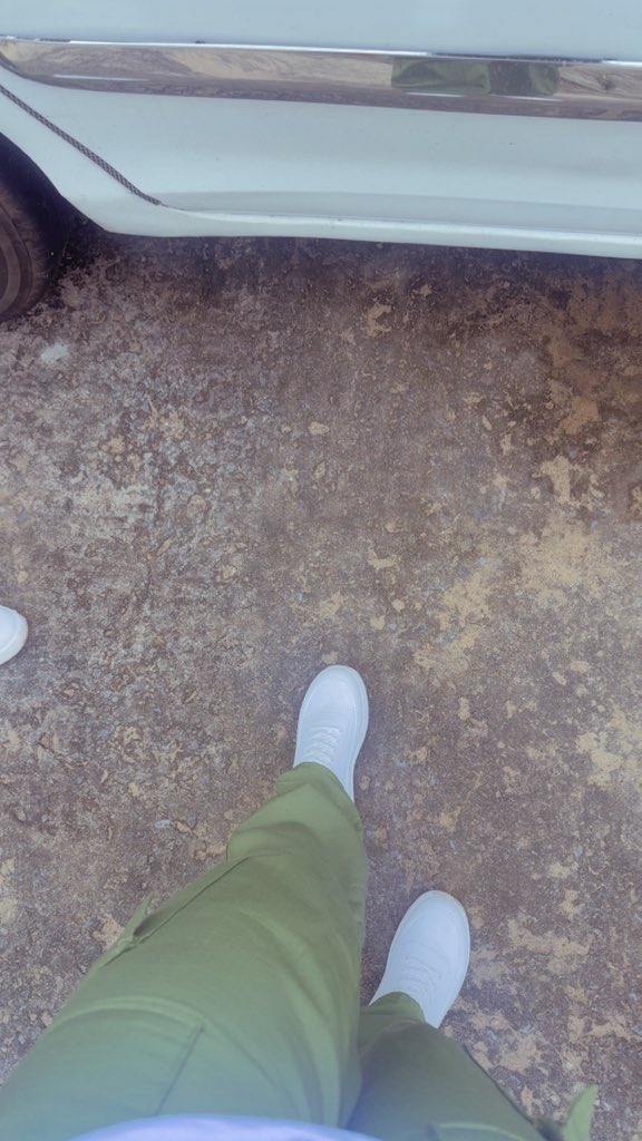 Avocado☀️🥑 🧡 tweet media