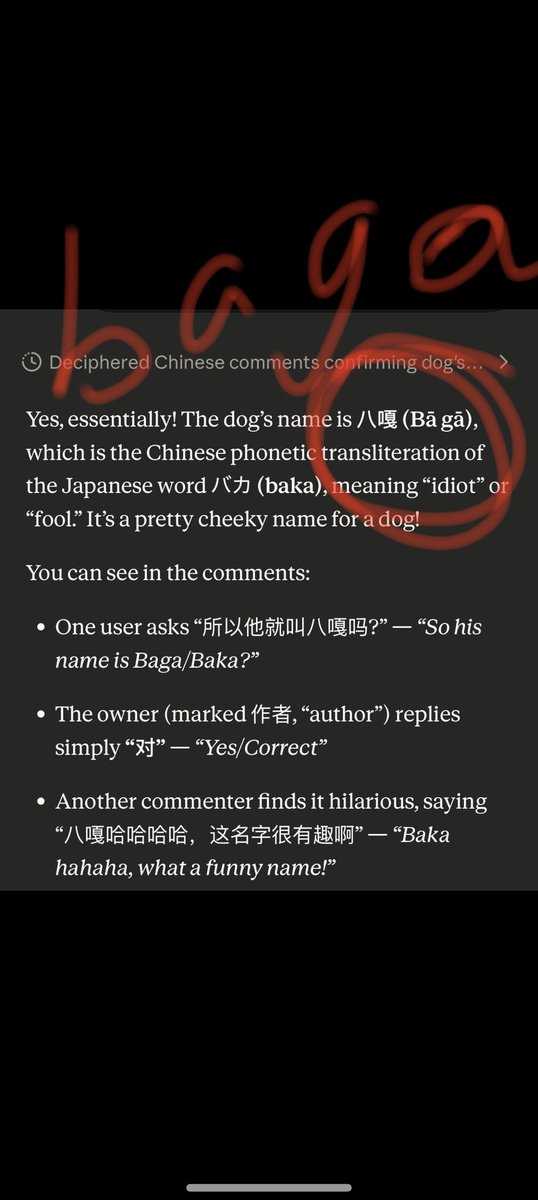 香香猪 tweet media