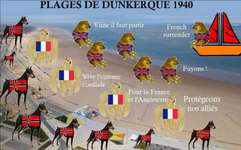 Herr Elle "Le Cruel" tweet media