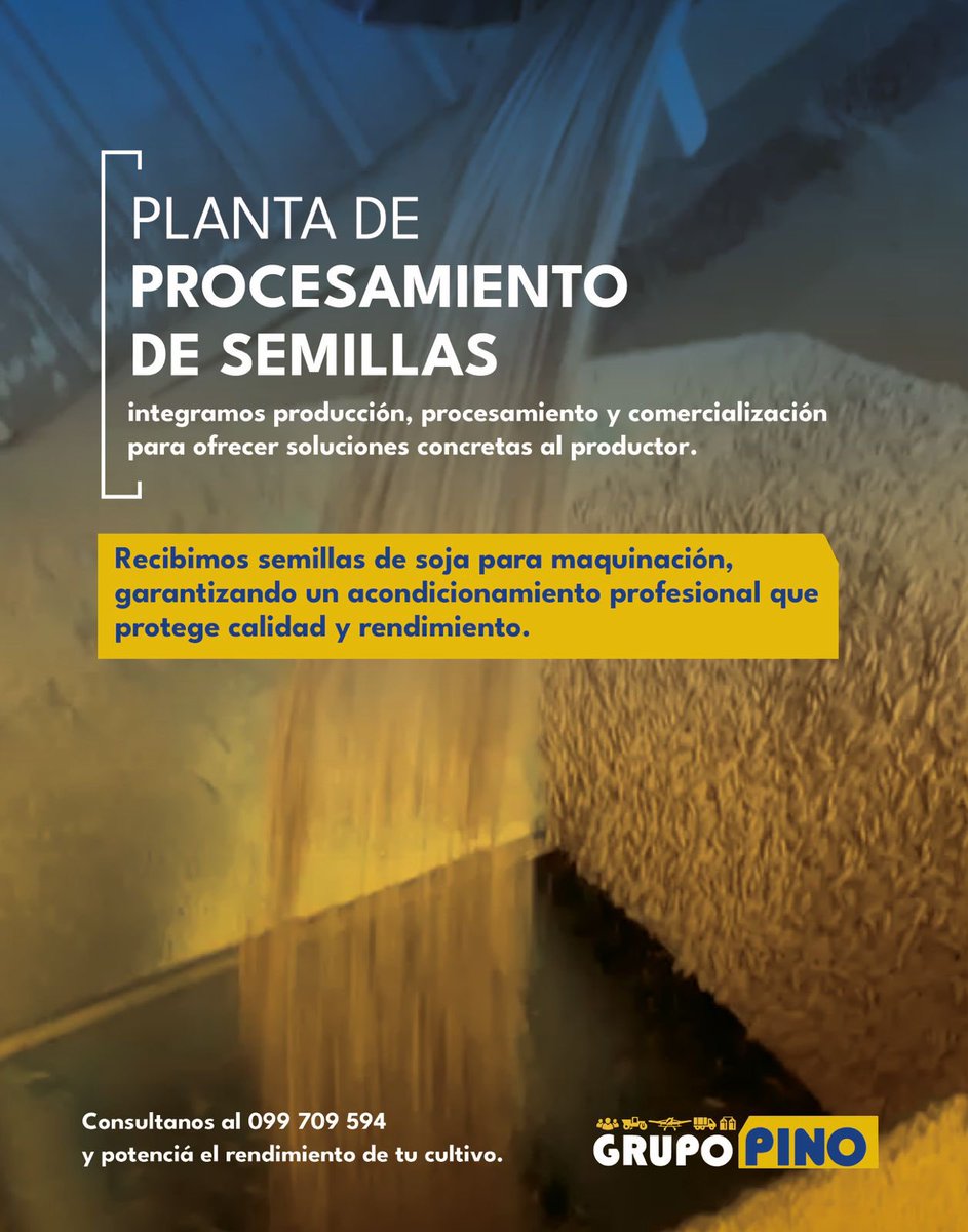 GRUPO PINO tweet media