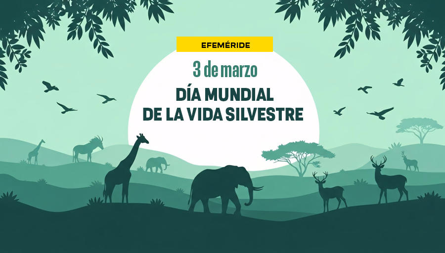 UNAM_MX's tweet photo. El objetivo es combatir la disminución de especies causada por la actividad humana 🛑. #UnDíaComoHoy se conmemora el Día Mundial de la Vida Silvestre 🐘🦋🌱🌳🦒, bajo el lema “Plantas medicinales y aromáticas: conservar la salud, el patrimonio natural y los medios de subsistencia” 🫖🌼 > https://t.co/LkKvaxH7pP