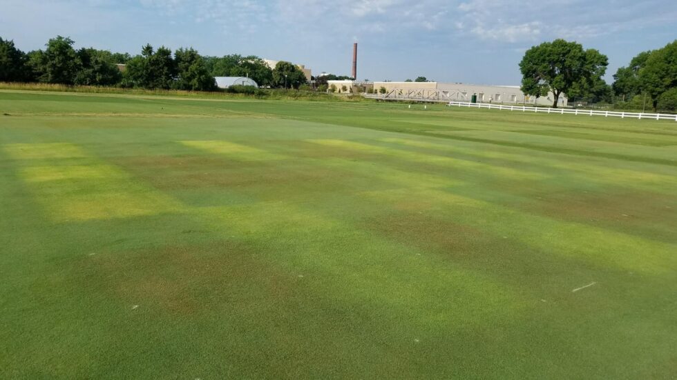 GreenKeeper tweet media