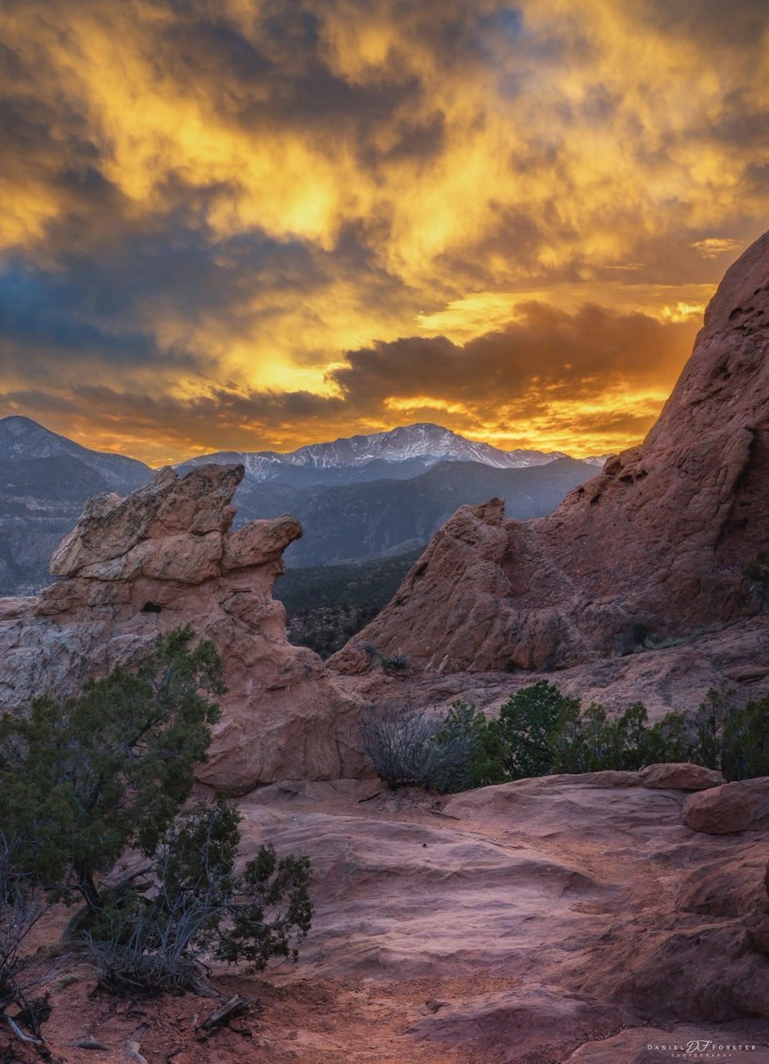 ᗩᘔᙀᒪ-320 tweet media