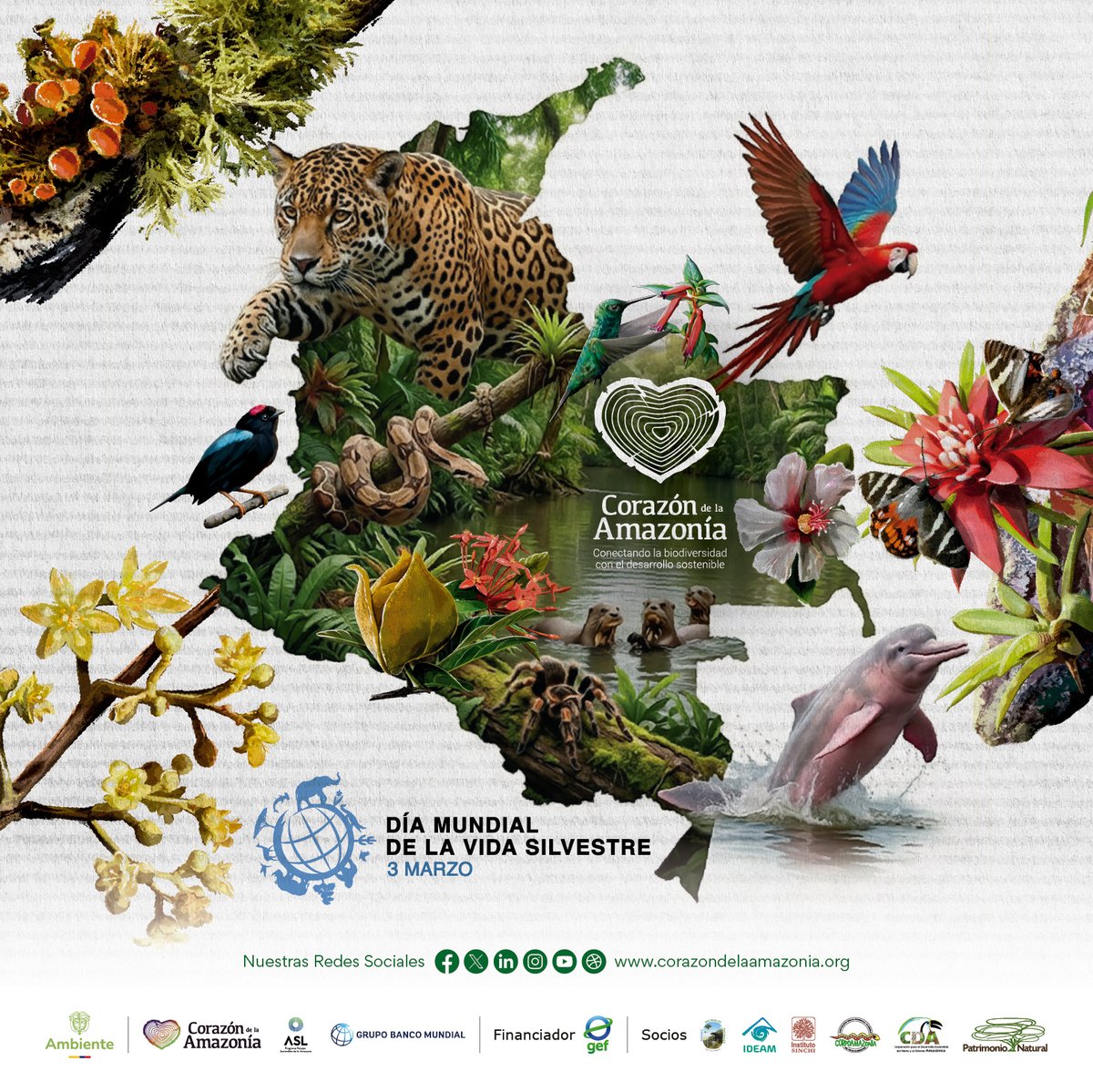 El incalculable valor de la vida silvestre

Desde el Proyecto Corazón de la Amazonia, reafirmamos nuestro compromiso de proteger uno de los territorios más biodiversos del planeta y de inspirar acciones que conecten la conservación con el desarrollo sostenible.