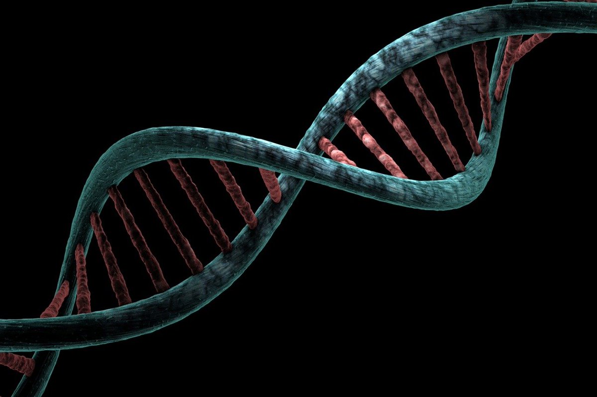 Seed World Latin America tweet media