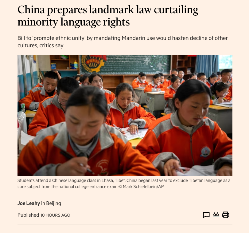 Neil Thomas 牛犇 tweet media