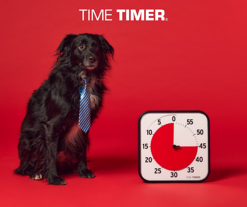 Time Timer tweet media