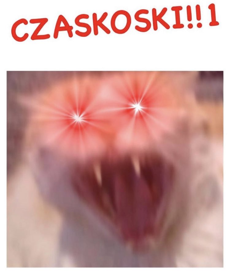 co prawda Stanowski może i przemilczał wypowiedzi polityków PiS o tym, że Polski przemysł zbrojeniowy to "złom", ataku Czarnka i Suskiego na Polskich żołnierzy i generałów, wypowiedzi Cenckiewicza o ataku terrorystów na Polskę ALE ZA TO NAGRAŁ FILM O CZASKOSKIM11!!!!