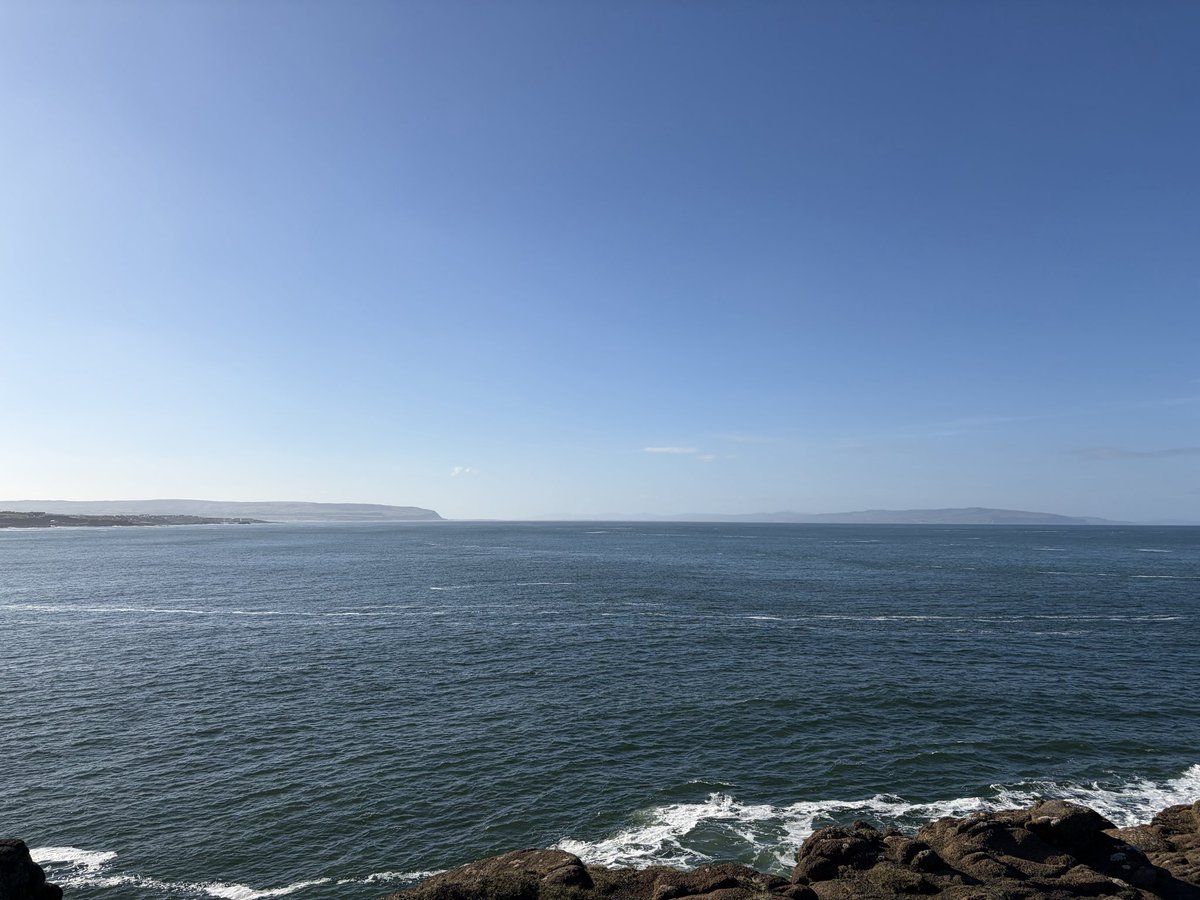 Tweeter of Wit tweet media