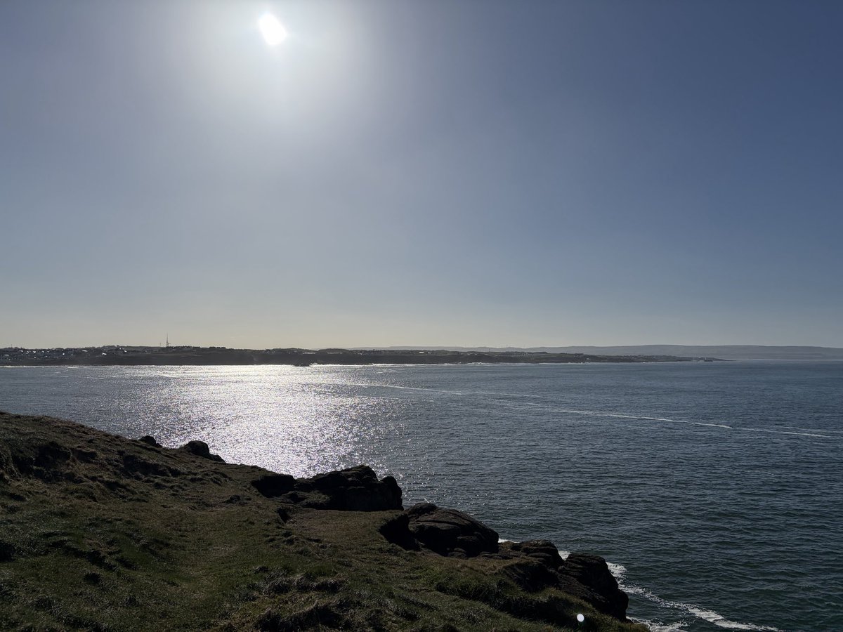 Tweeter of Wit tweet media