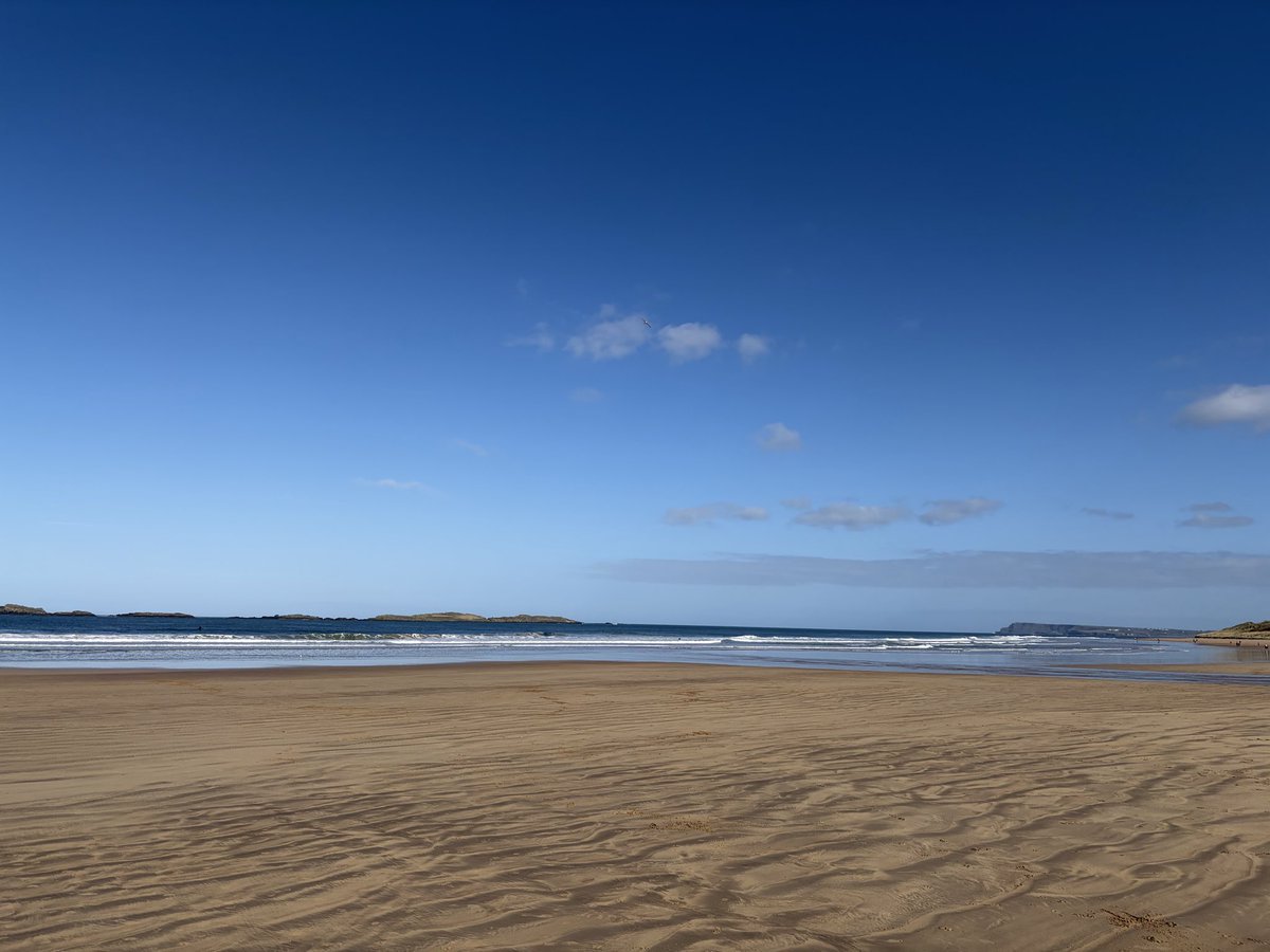 Tweeter of Wit tweet media