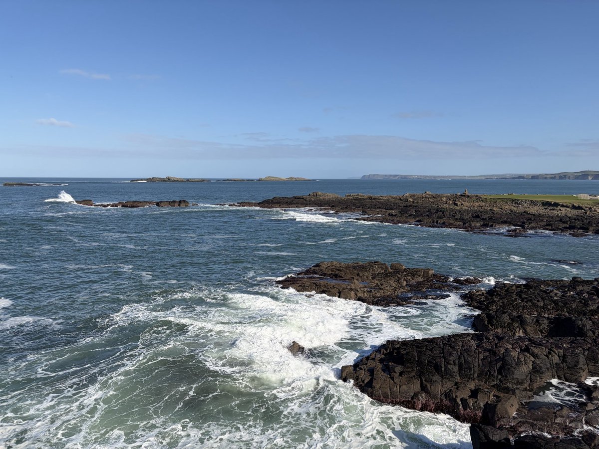 Tweeter of Wit tweet media