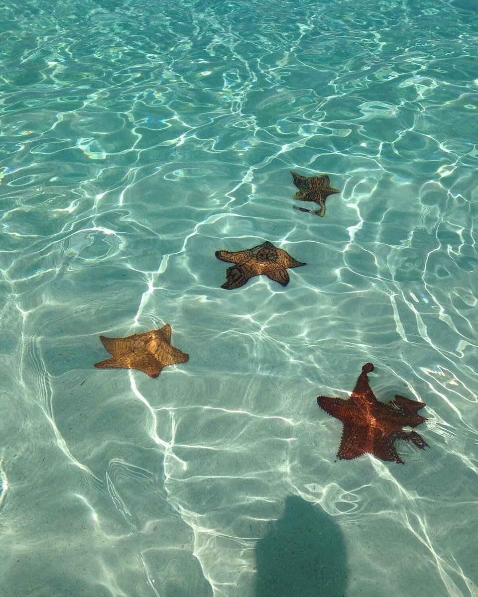 crystal clear views and ocean hues