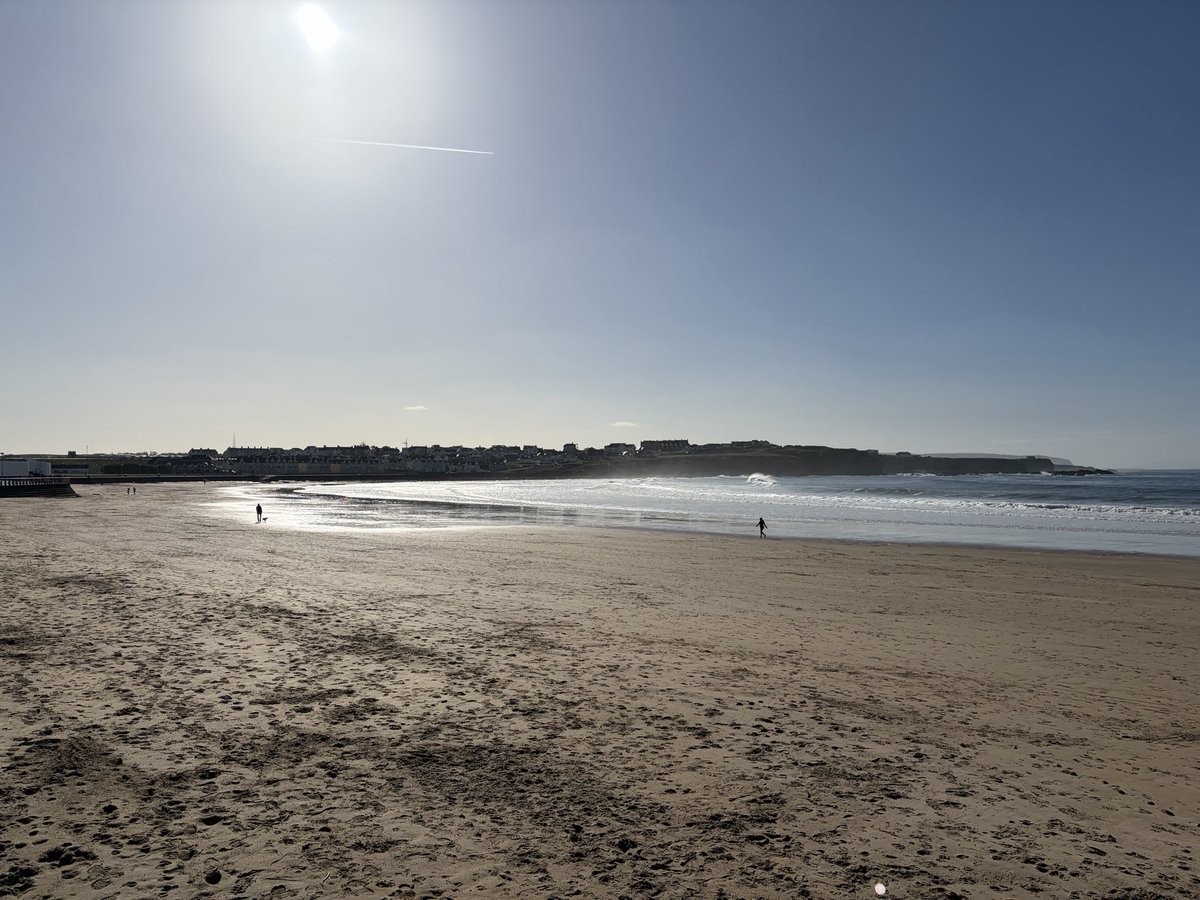 Tweeter of Wit tweet media