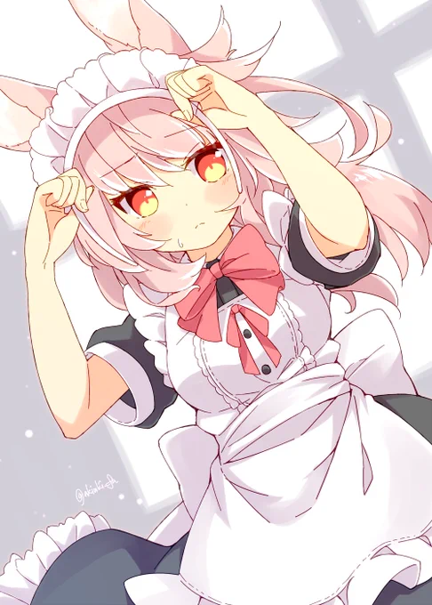 #うさぎの日