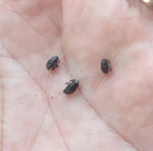 Ignacio🌜🦖🇦🇷 tweet media