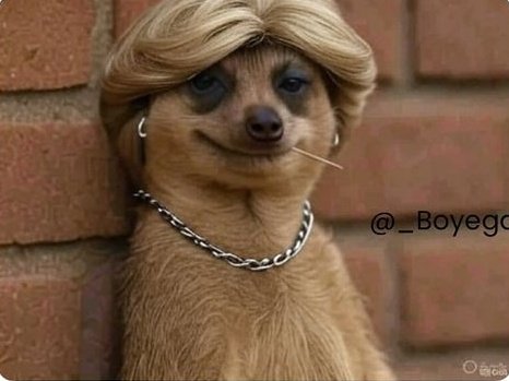 Me giving you my number knowing fully well you're gonna get blocked after the first call