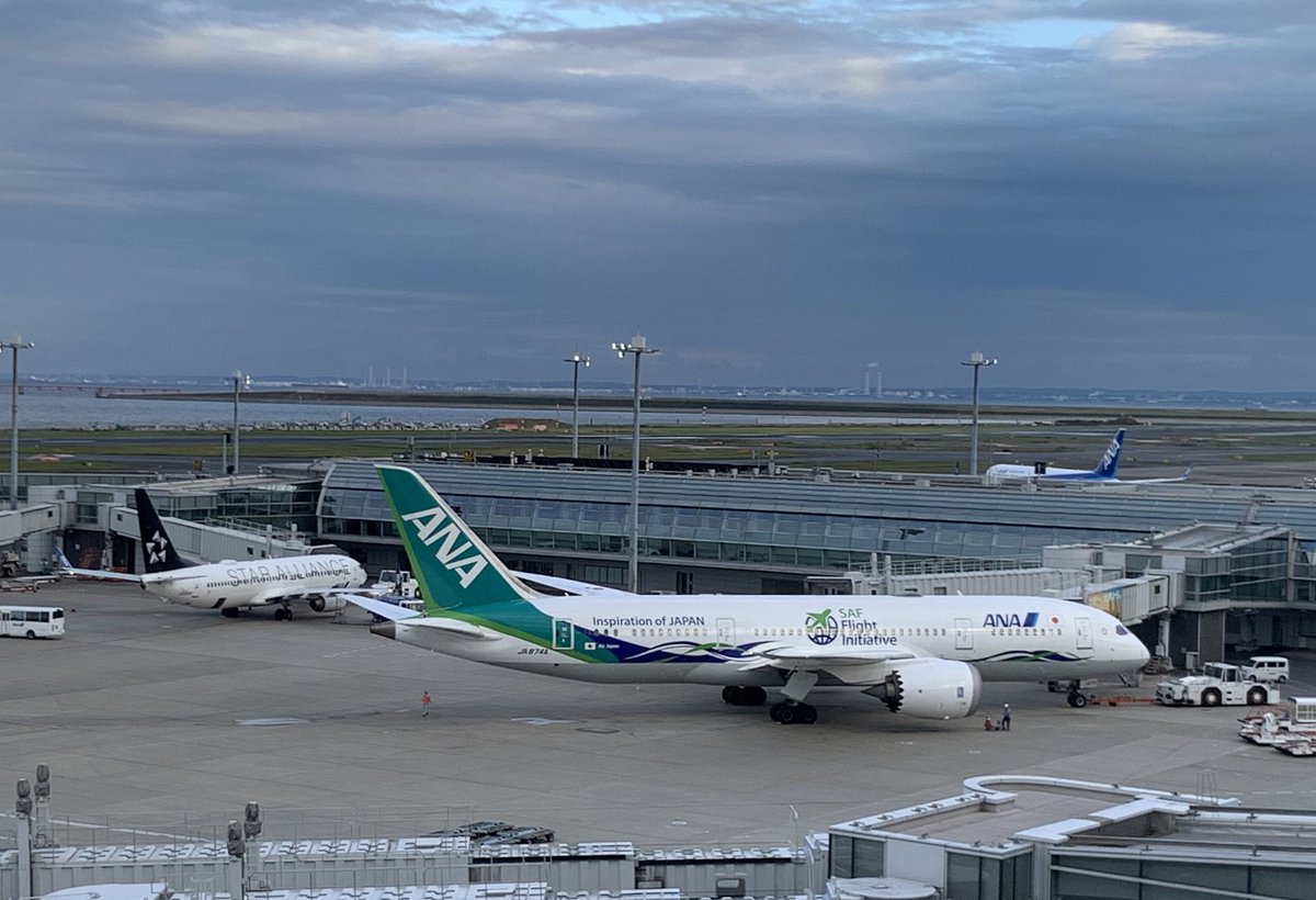 flyyukiAIR's tweet photo. 24/11/18 NH35 羽田▶︎伊丹 JA874A

今はすっかり無くなってしまった国際線仕様の78M便です。 
偶然にもANA Future Promise グリーンジェットによる運航でした。 最後列の2人がけだったので特にゆったりしていました。 https://t.co/roj44kq9Gc
