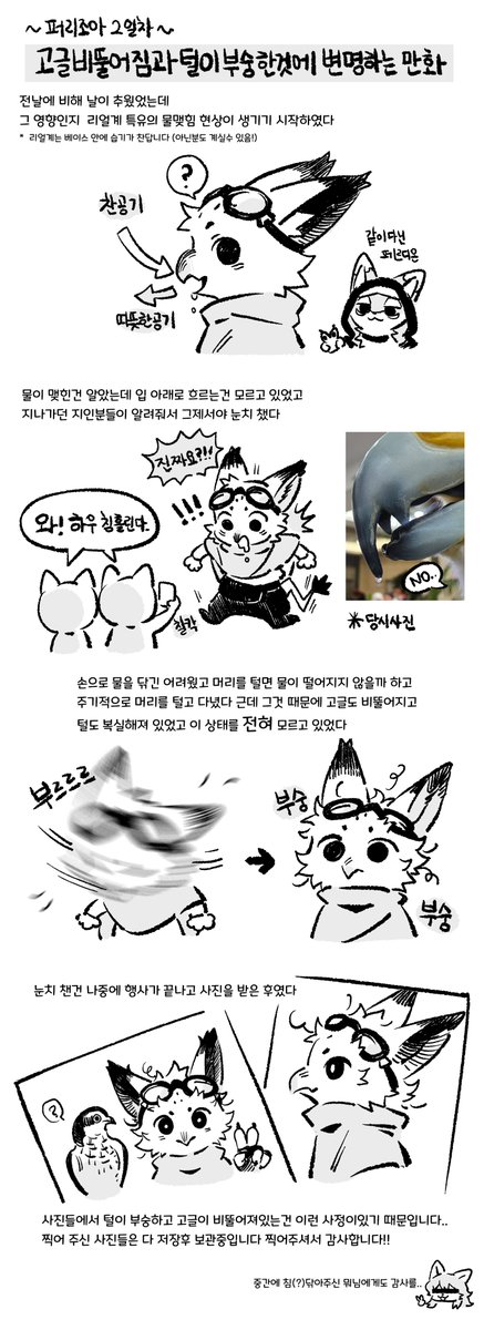 LAPIS (@rakurobit_lapis) on Twitter photo 