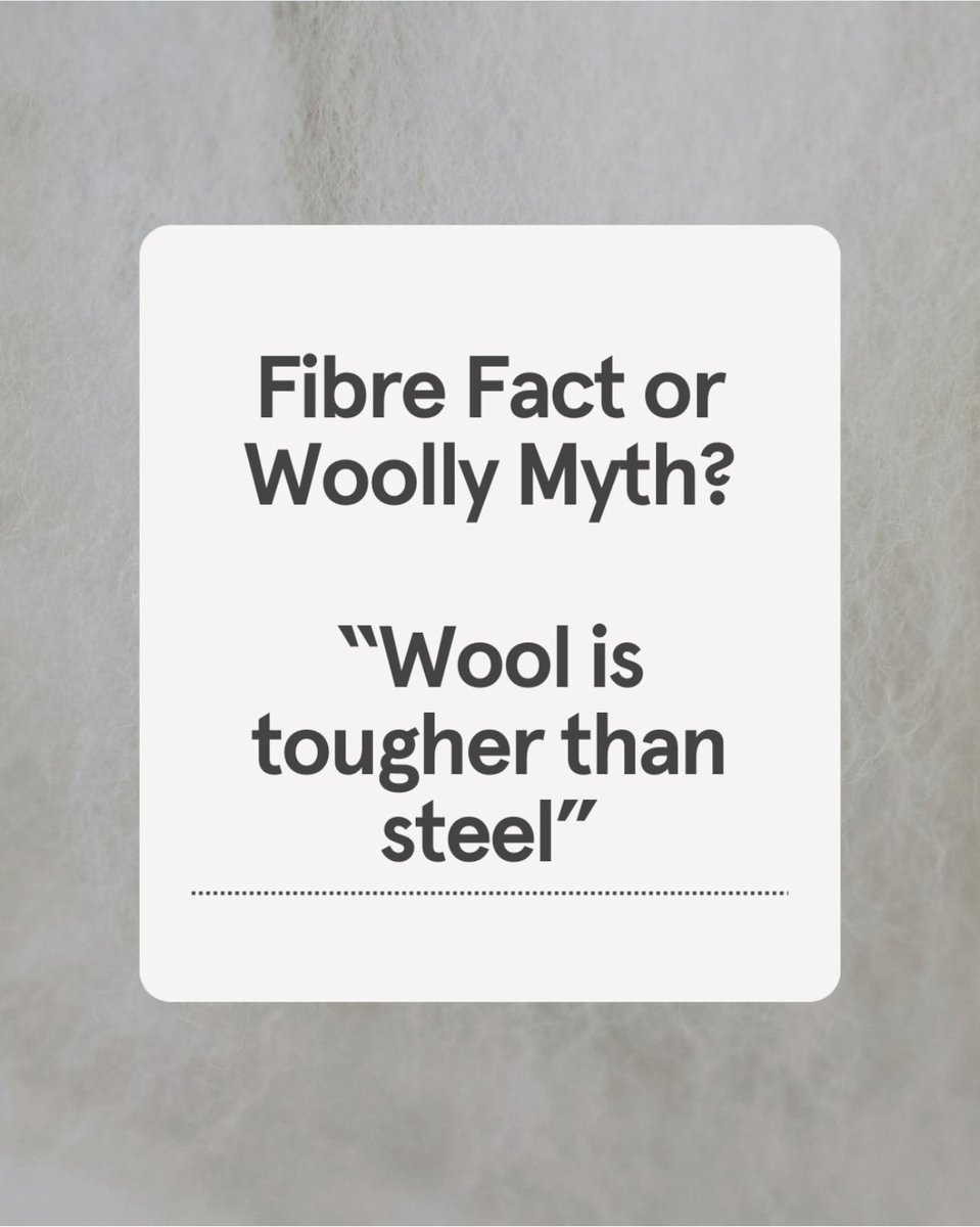 Experience Wool tweet media