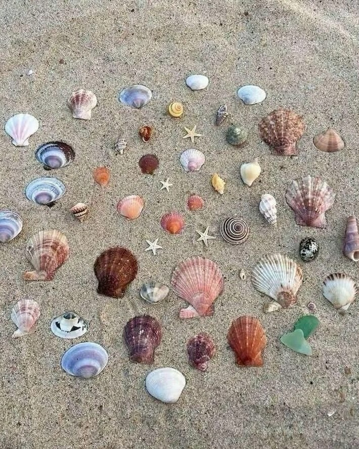 artindetails's tweet photo. the ocean’s jewelry https://t.co/OCMHJSSy4J
