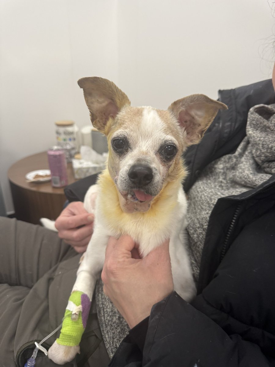 StabbyTimeTV tweet media