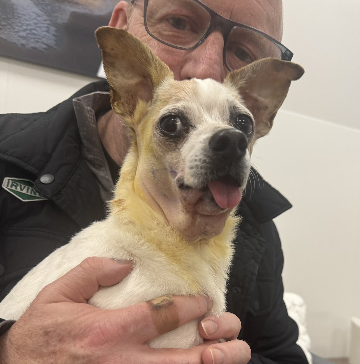 StabbyTimeTV tweet media