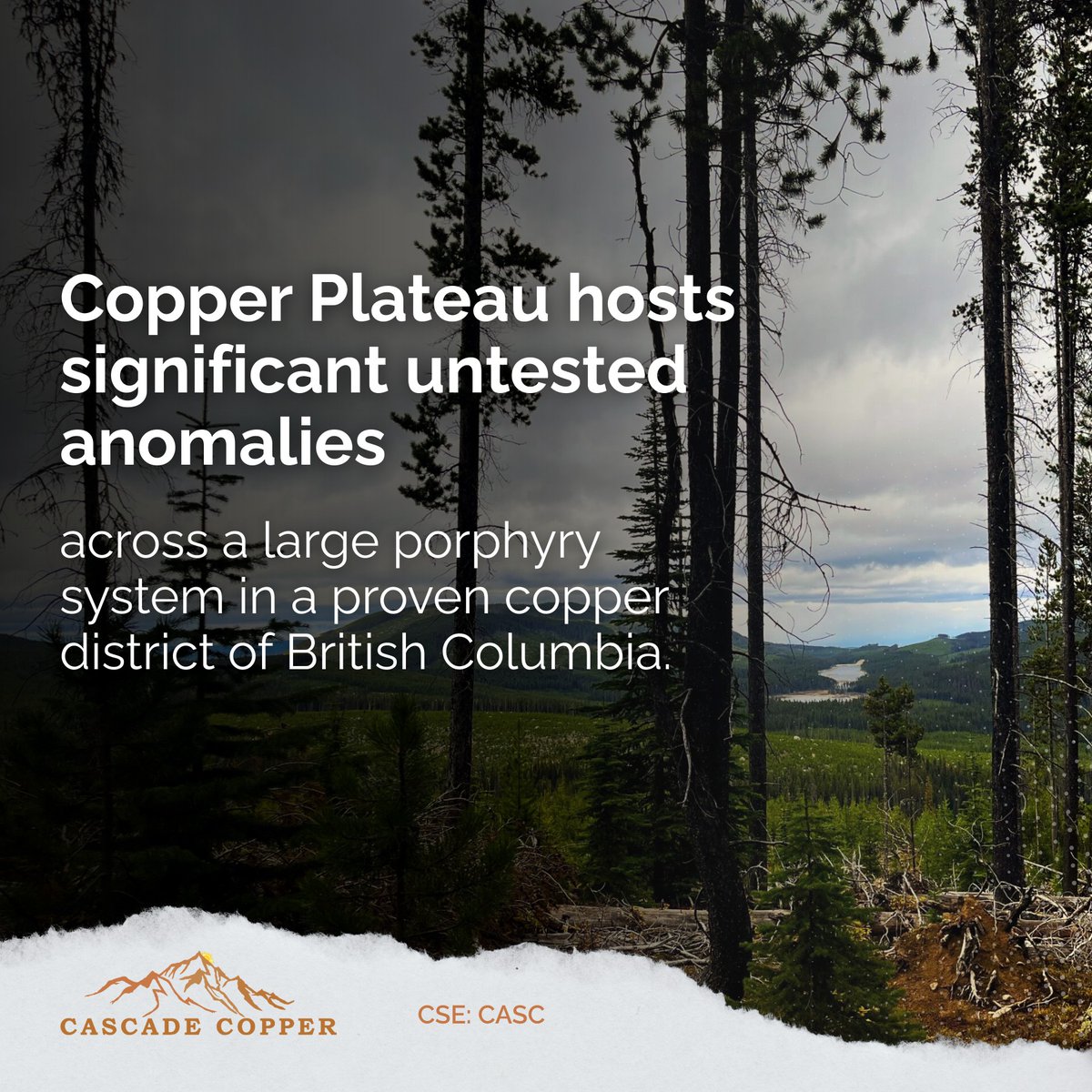 Cascade Copper | CASC.CN tweet media