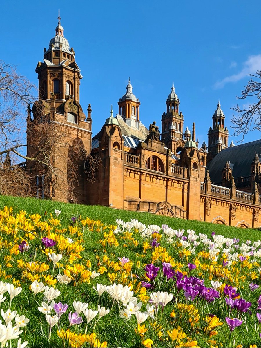 Spring crocuses today outside the Kelvingrove Art Gallery in the West End of Glasgow.

#glasgow #spring #crocuses #kelvingroveartgallery #architecture