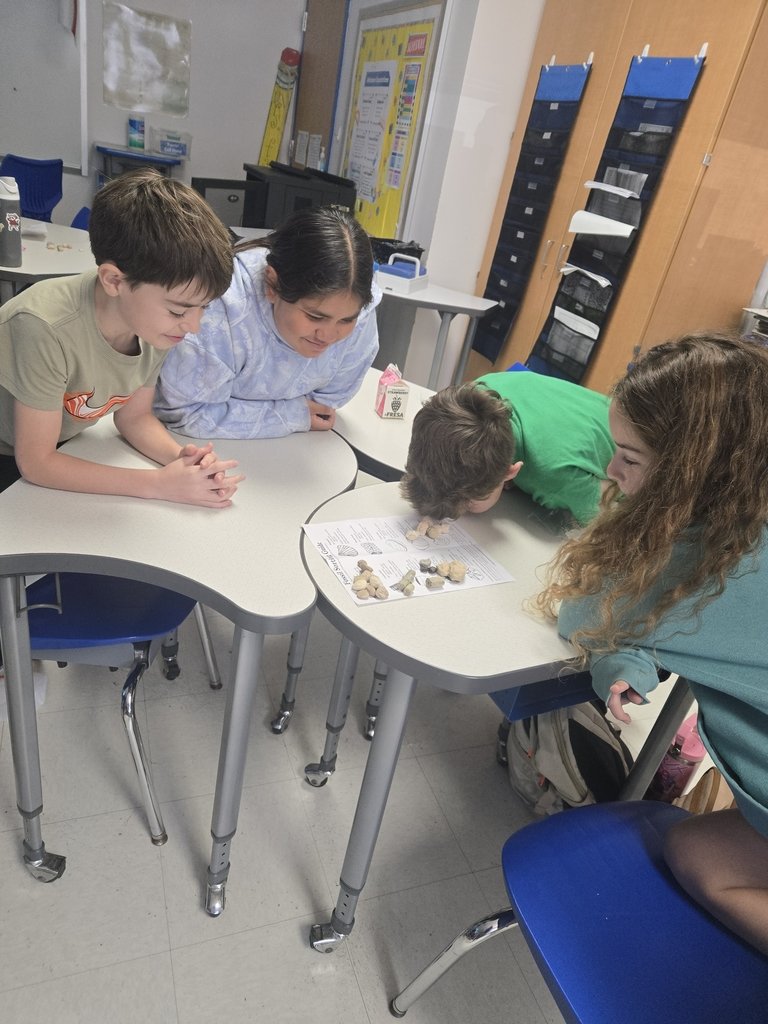 RISD Intermediate tweet media