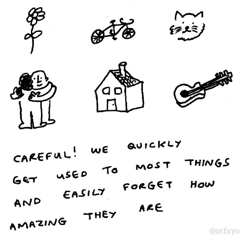 Vivid Void (@vividvoid_) on Twitter photo 