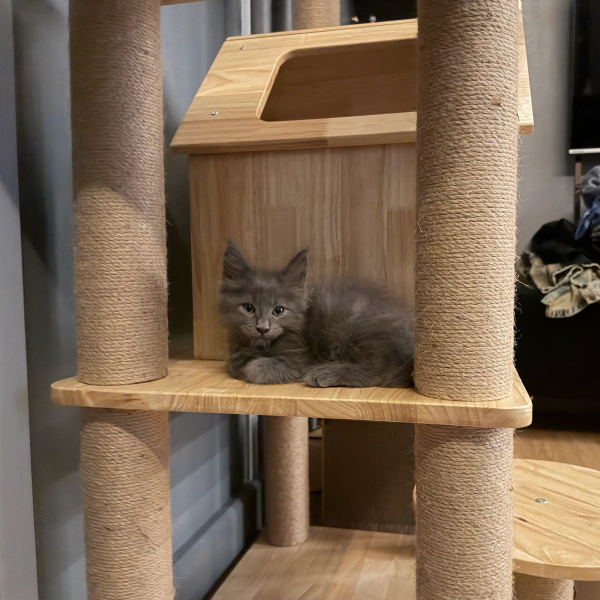 สมาชิกใหม่