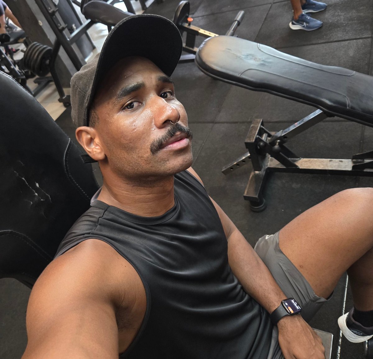 gato de schrödinger tweet media