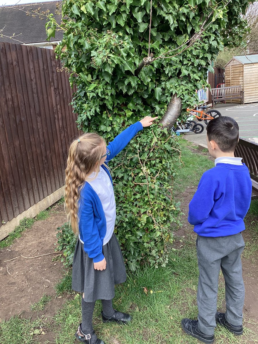 St. Peter’s School🧡 tweet media