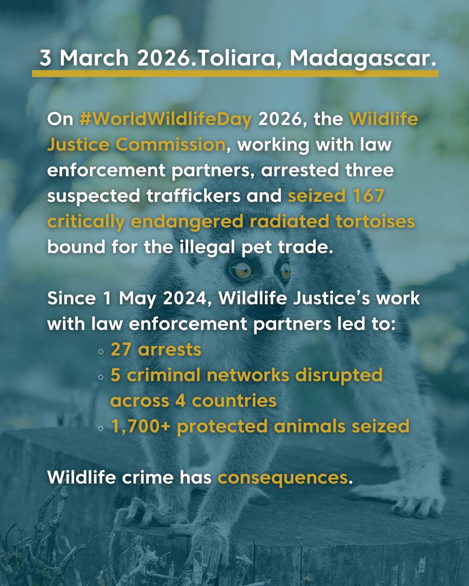 Wildlife Justice Commission tweet media