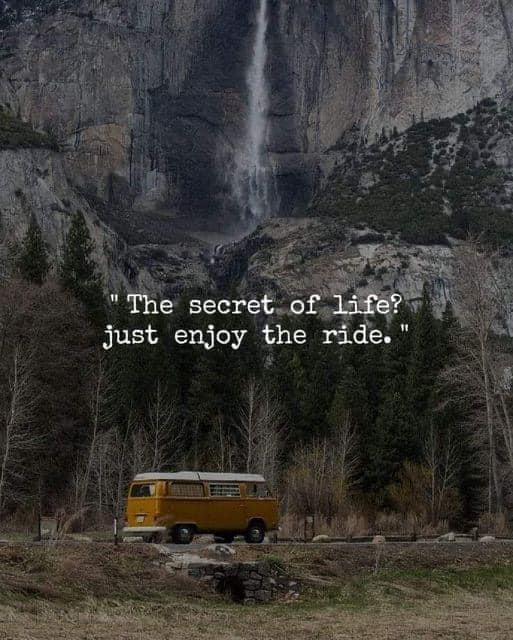 TrainingMindful's tweet photo. #joy https://t.co/2xUdM3dcio