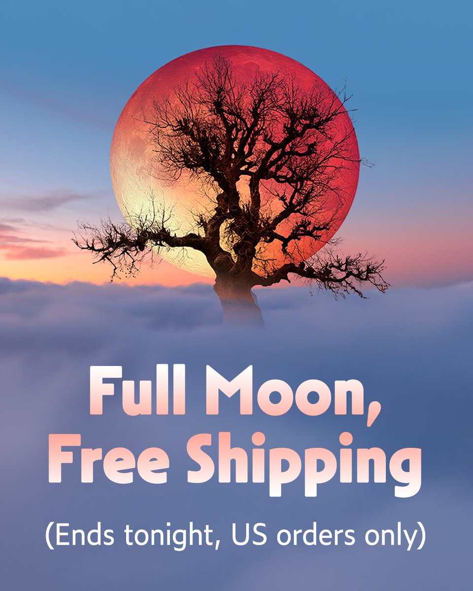 Inner Traditions tweet media