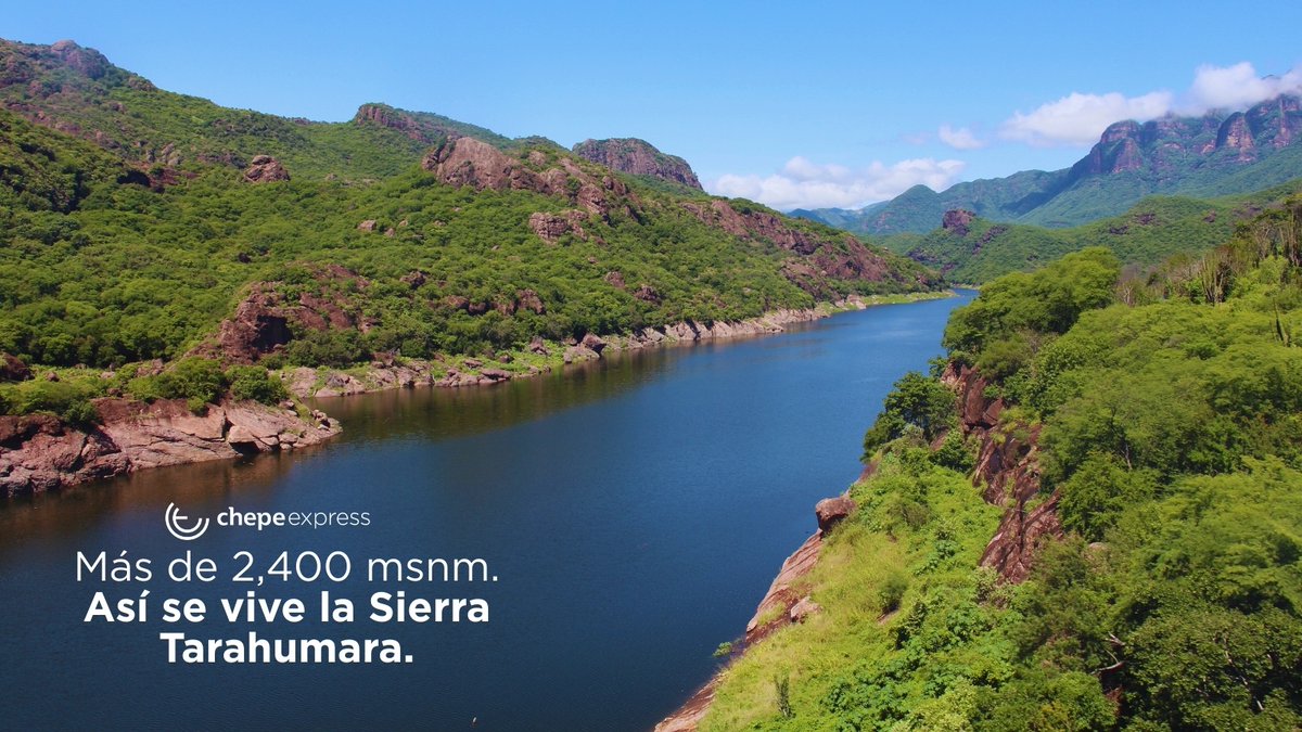 Chepe Express tweet media