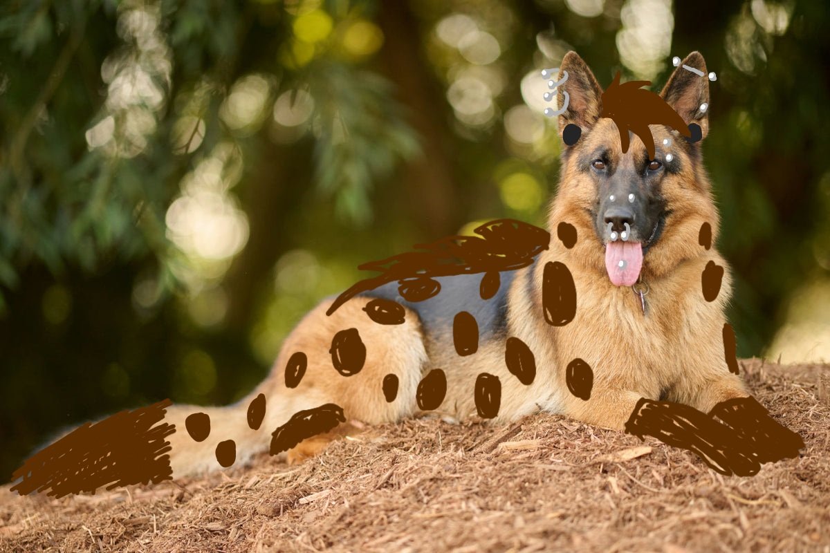 ⚡️Vaalrein ⚠️ tweet media