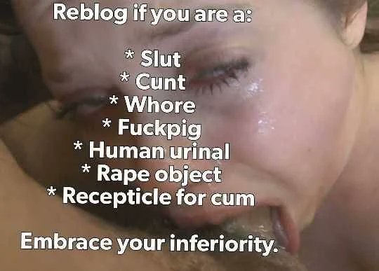 captain-hornblower-returns tweet media