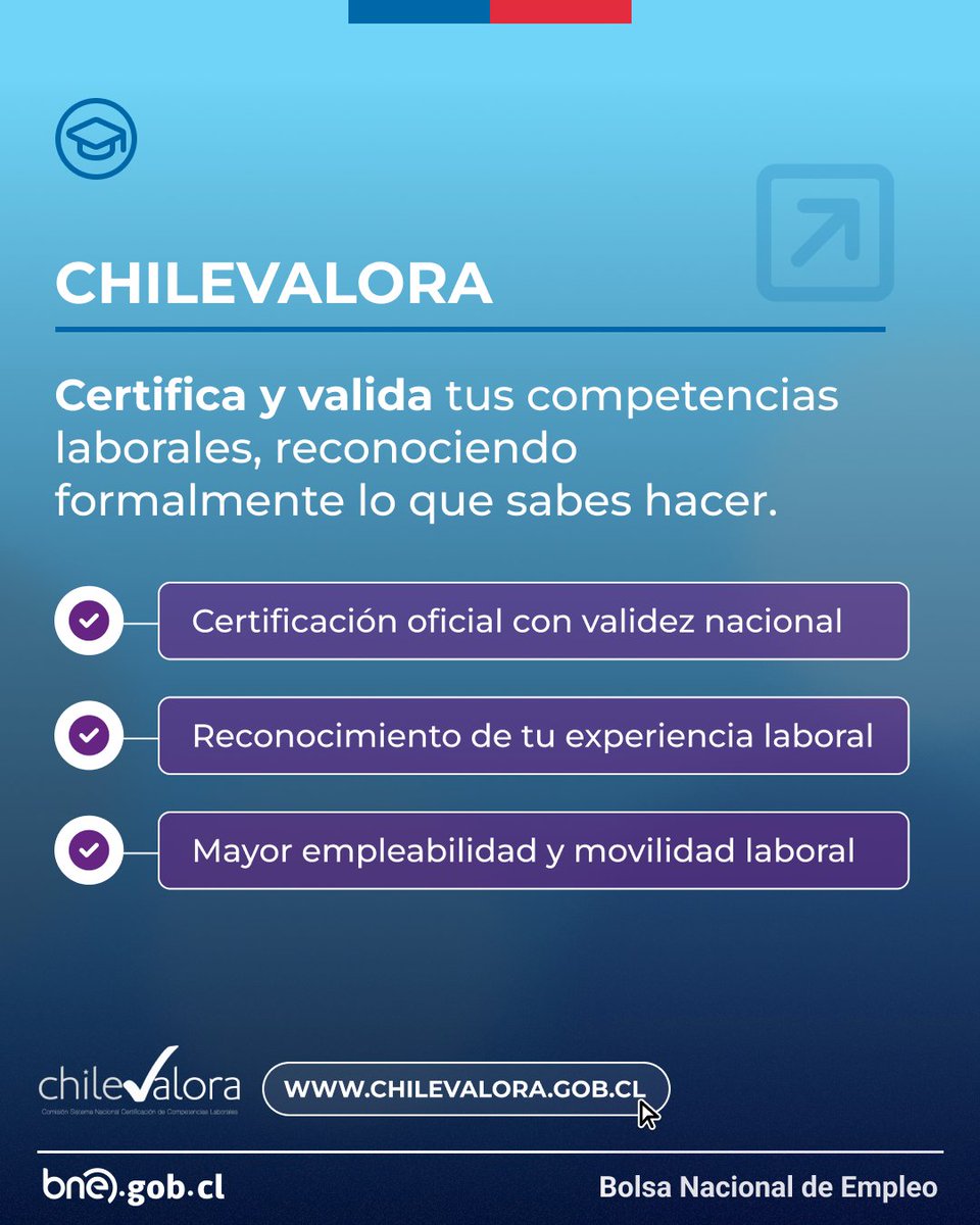 💡¿Sabías que existe una red pública que apoya tu desarrollo laboral?

BNE, Sence y ChileValora trabajan de forma coordinada para fortalecer tus oportunidades y acompañarte en tu camino laboral.