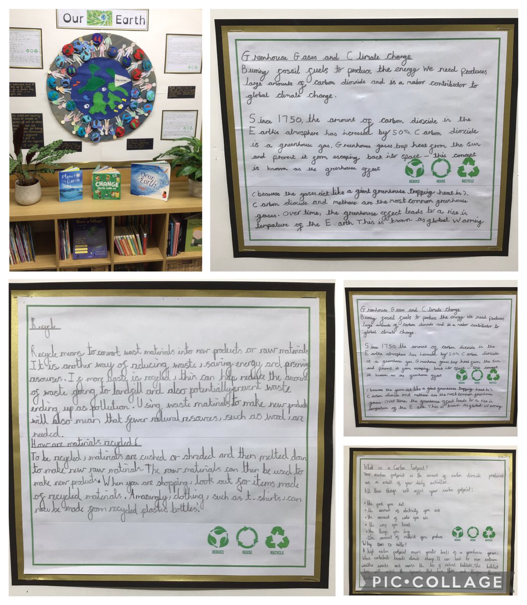 DaneRoydEco's tweet photo. What a wonderful display created by @DaneRoydY4. Their knowledge of climate change and sustainability is extraordinary. @DaneRoydSchool #DaneRoydScience https://t.co/zn2hIrny5E