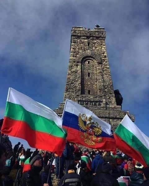 Eli Ilieva tweet media