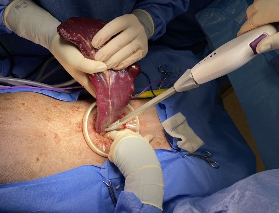 Veterinary Practice News tweet media