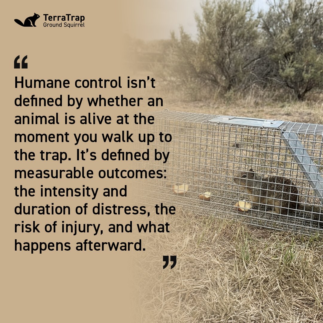 AutomaticTrap.com tweet media