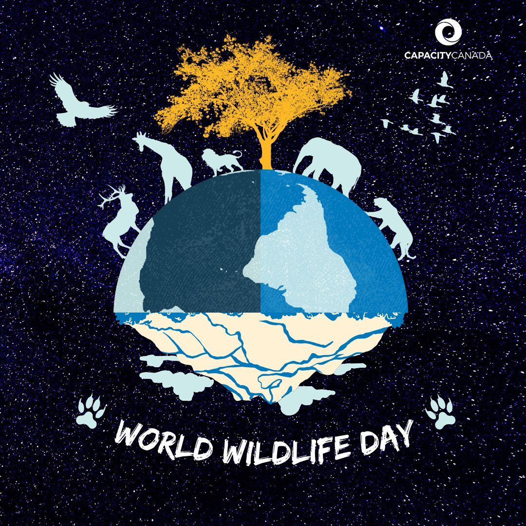 Capacity Canada tweet media