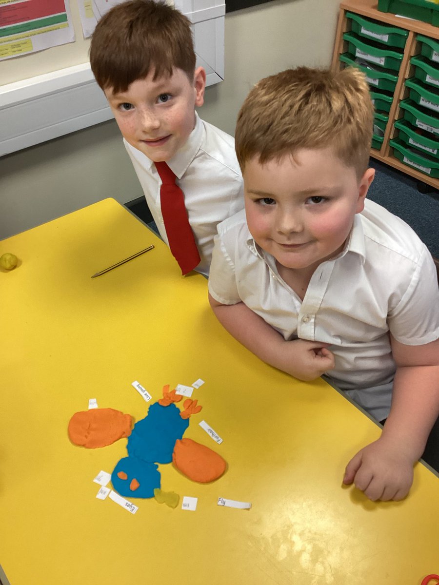 St Margaret Mary's RC Primary School tweet media