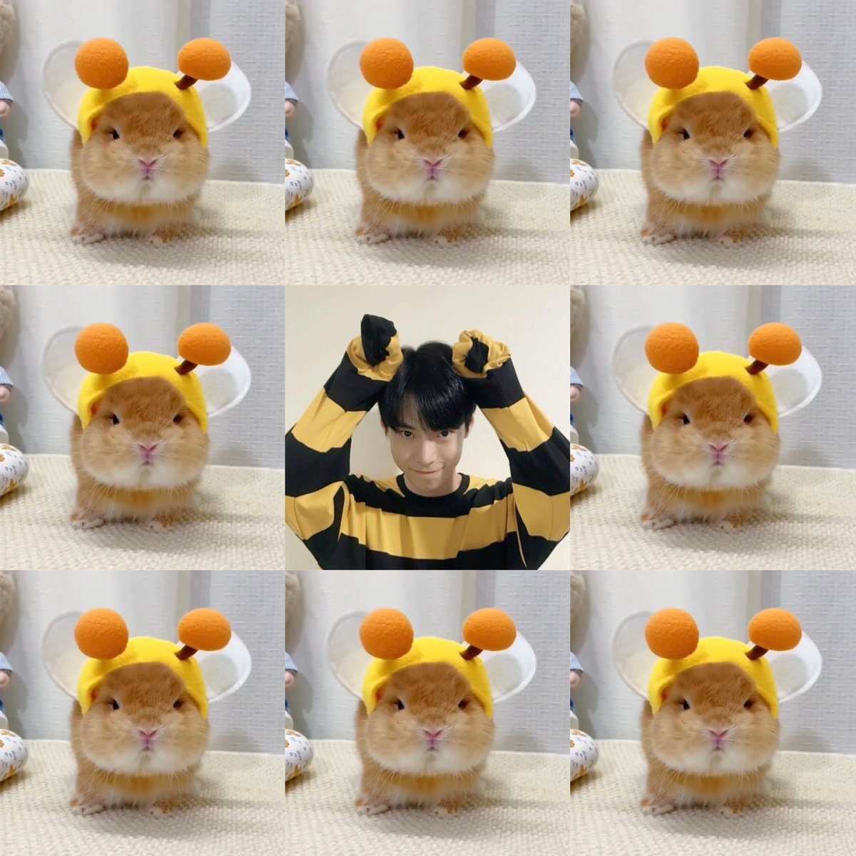 도영 D-461

🐰🐝🐝🐝

#도영 #DOYOUNG