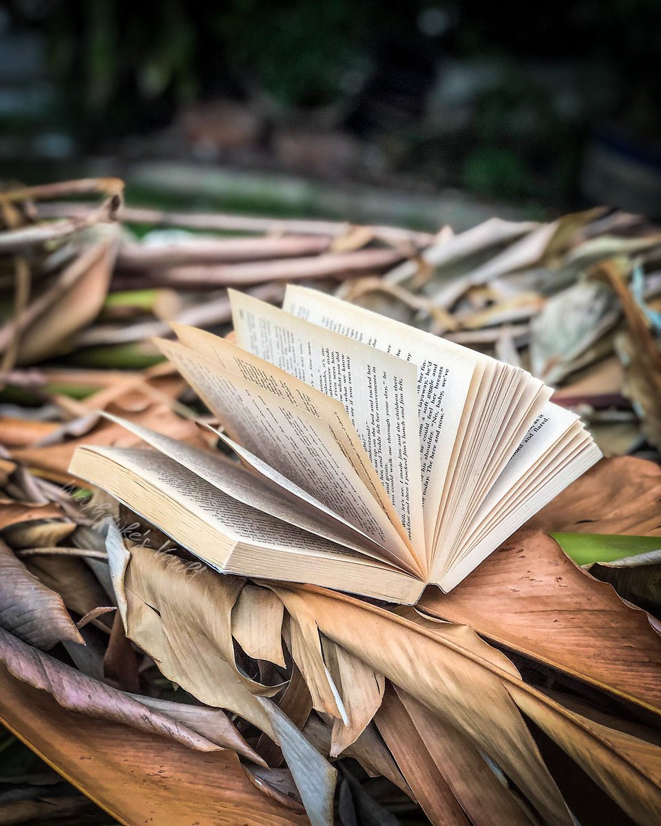 𝗤𝗢𝗧𝗗: Let's play predictive text game. 
I like to read about...

My result:
I like to read about the story of a lonely clerk who collects butterflies.
Wait... I’ve actually read that book lol! 🦋😆