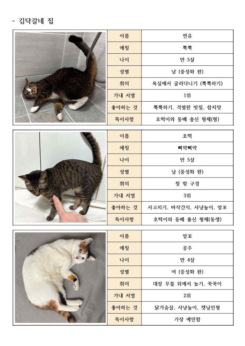 교수님 따까리 tweet media